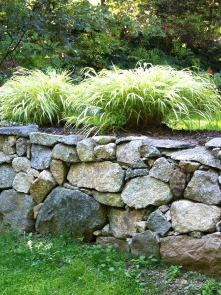 Natural Wall with Steps