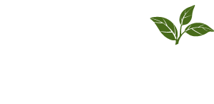 Green Ideas Landscaping Halifax Company